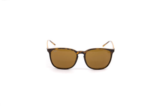 Ray-Ban RB4387 Sunglasses